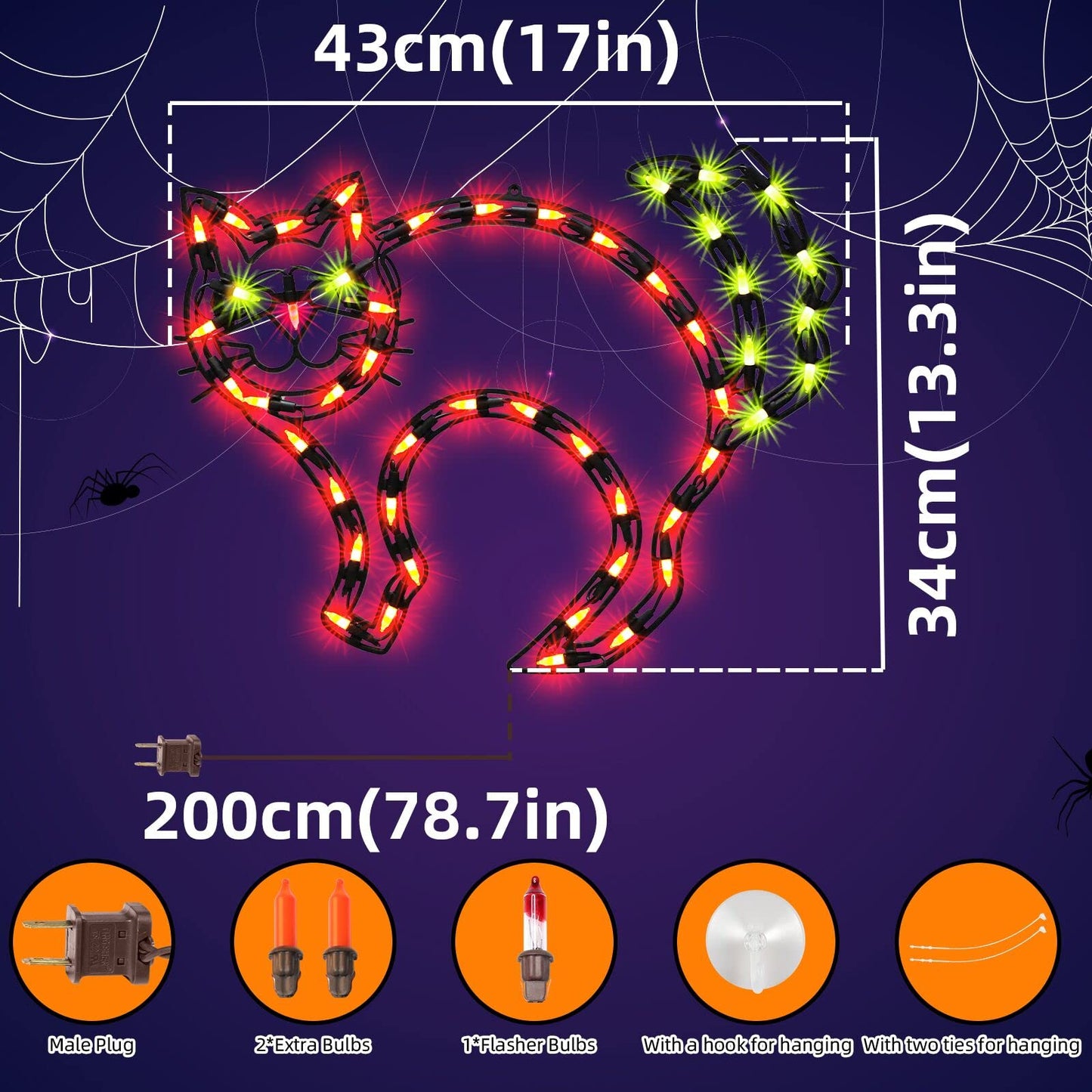 Halloween Cat