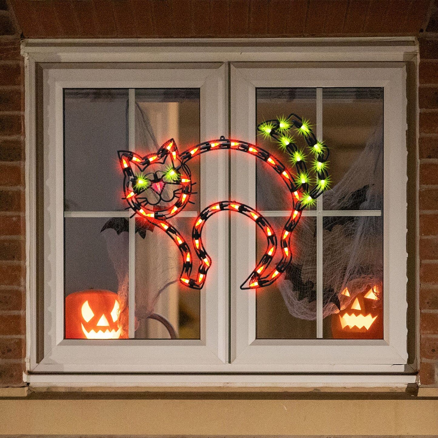 Halloween Cat