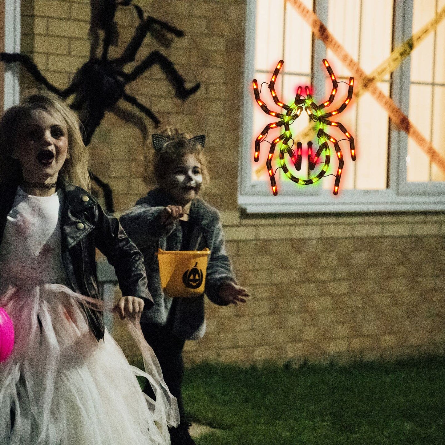 Halloween Spider